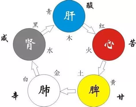 五行 味|五味与五行的正确解读